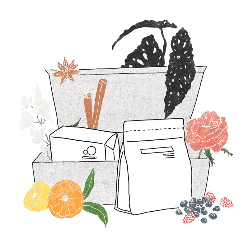 sweet spot kaffee Specialty Coffee Subscription Box B: sweet variety