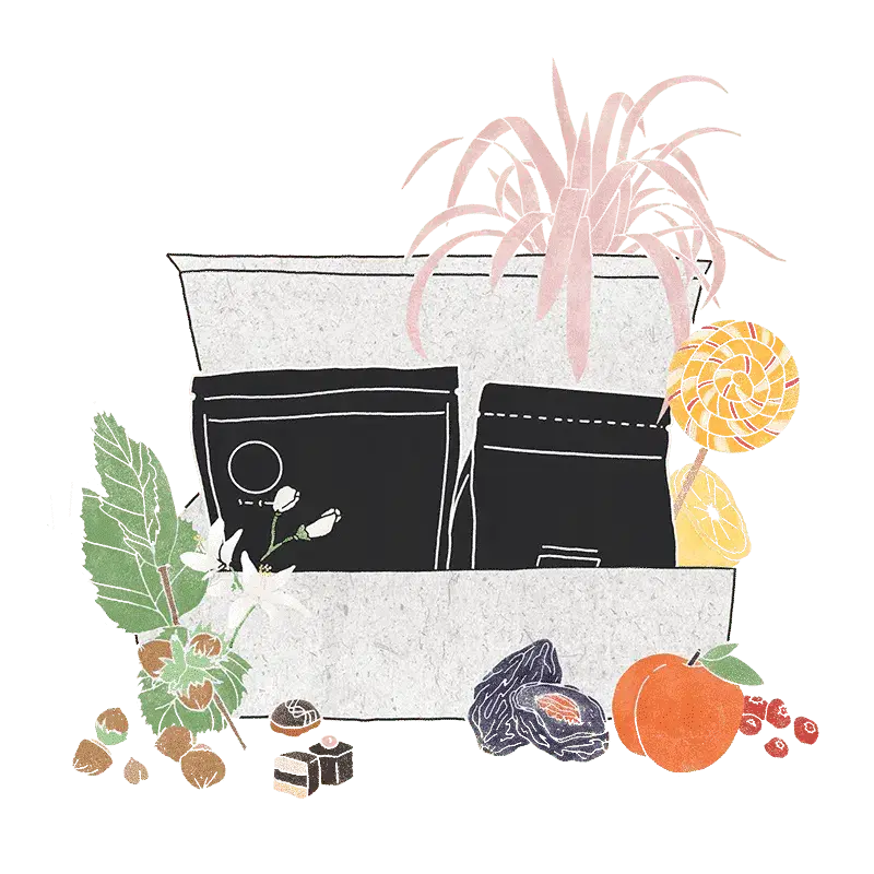 sweet spot kaffee Specialty Coffee Subscription Box C: sweet shots